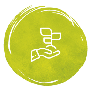 Seal_Naturalness_clean_green